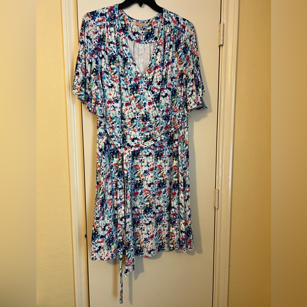 Gibson Latimer Plus Size Floral Short Dress - Blue and Pink, 2X